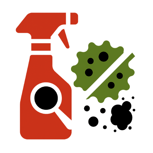 Mold Inspection & Testing Services | Mohobusters